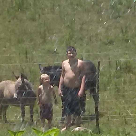 Meet your Posher, Jeremy - Picture 1 of 1